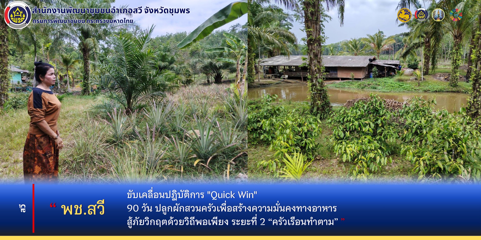 พช.สวี ขับเคลื่อนปฏิบัติการ "Quick Win" 90 วัน ปลูกผักสวนครัวเพื่อสร้างความมั่นคงทางอาหาร สู้ภัยวิกฤตด้วยวิถีพอเพียง ระยะที่ 2 "ครัวเรือนทำตาม"