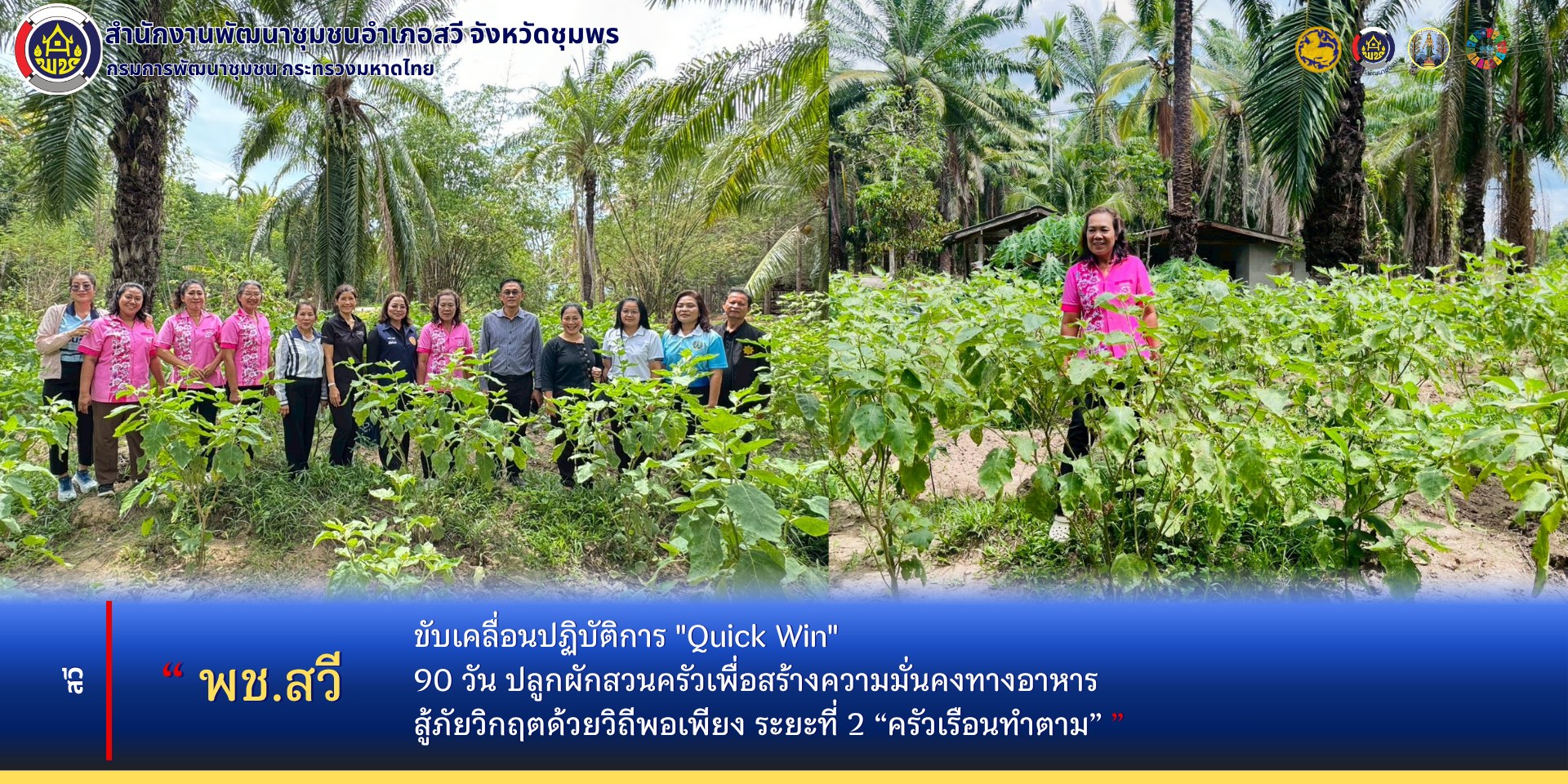 พช.สวี ขับเคลื่อนปฏิบัติการ "Quick Win" 90 วัน ปลูกผักสวนครัวเพื่อสร้างความมั่นคงทางอาหาร สู้ภัยวิกฤตด้วยวิถีพอเพียง ระยะที่ 2 "ครัวเรือนทำตาม"