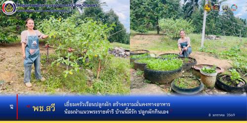 พช.สวี ร่วมสร้างความมั่นคงทางอาหาร "ครัวเรือนทำตาม"